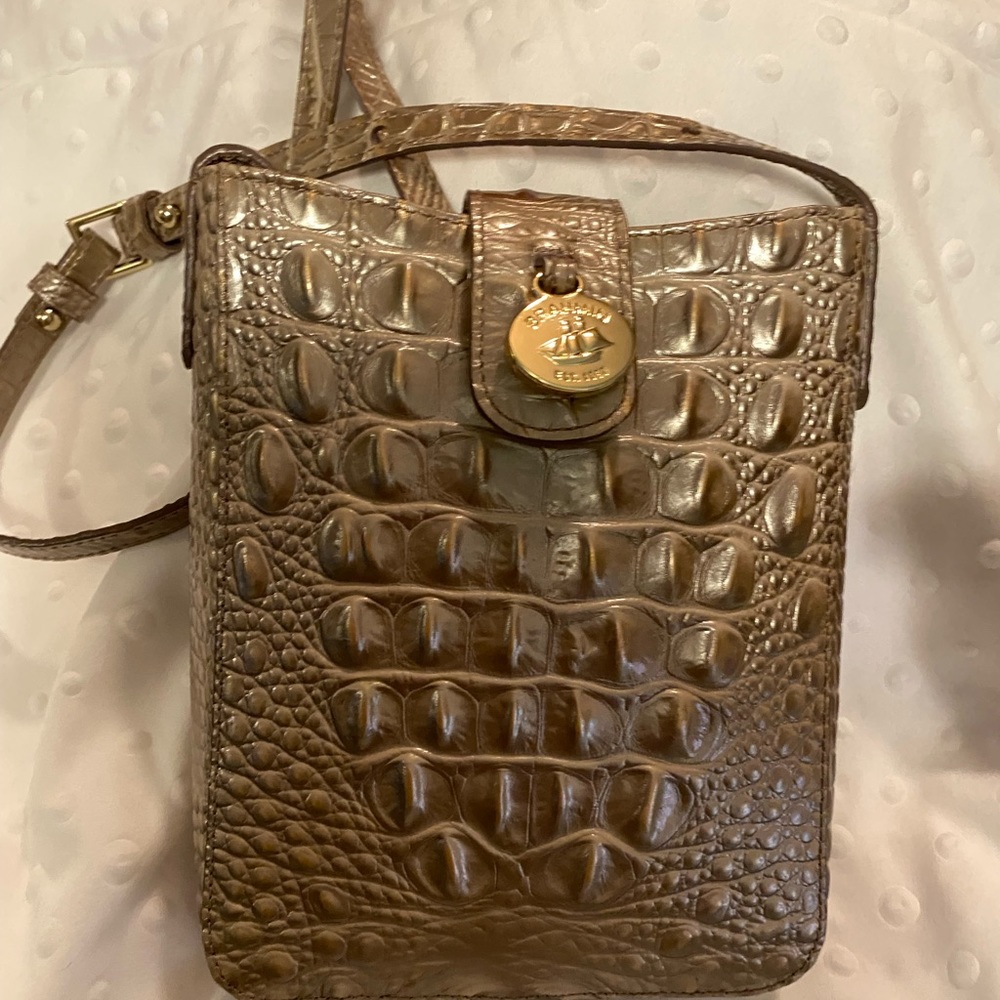 BRAHMIN - Picture 2 of 3